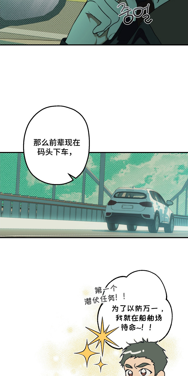 倒悬玫瑰 - 计划 - 第19页