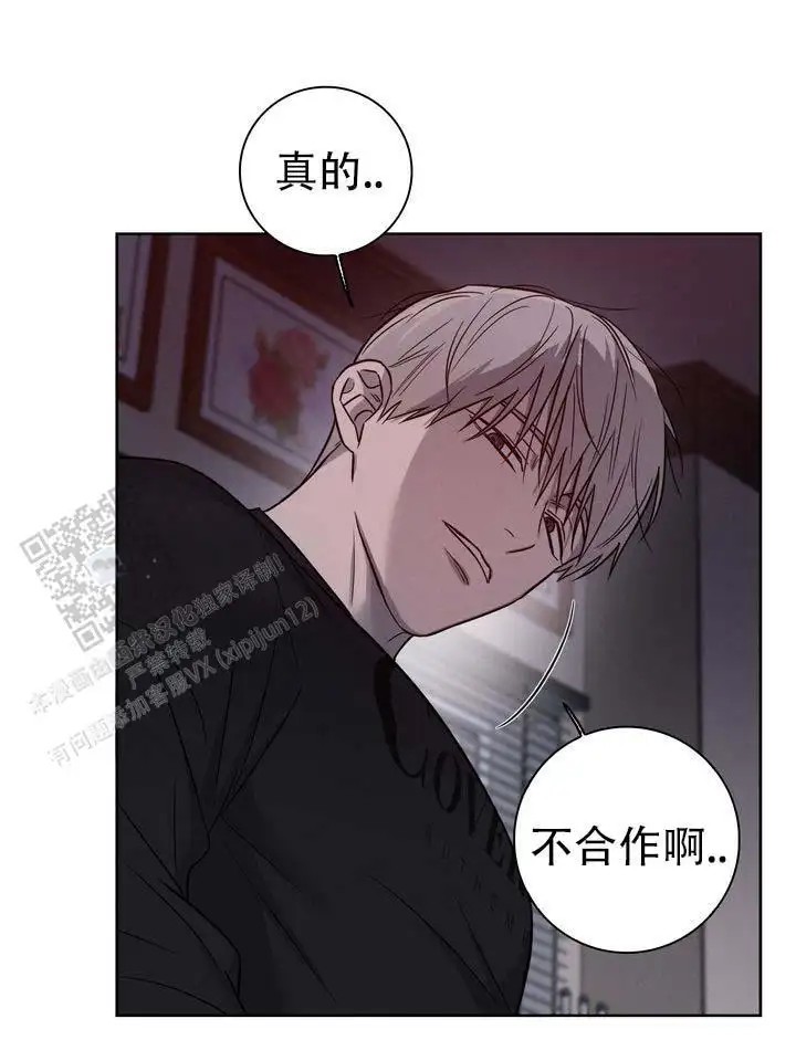 七号球袋 - 赌台球 - 第13页