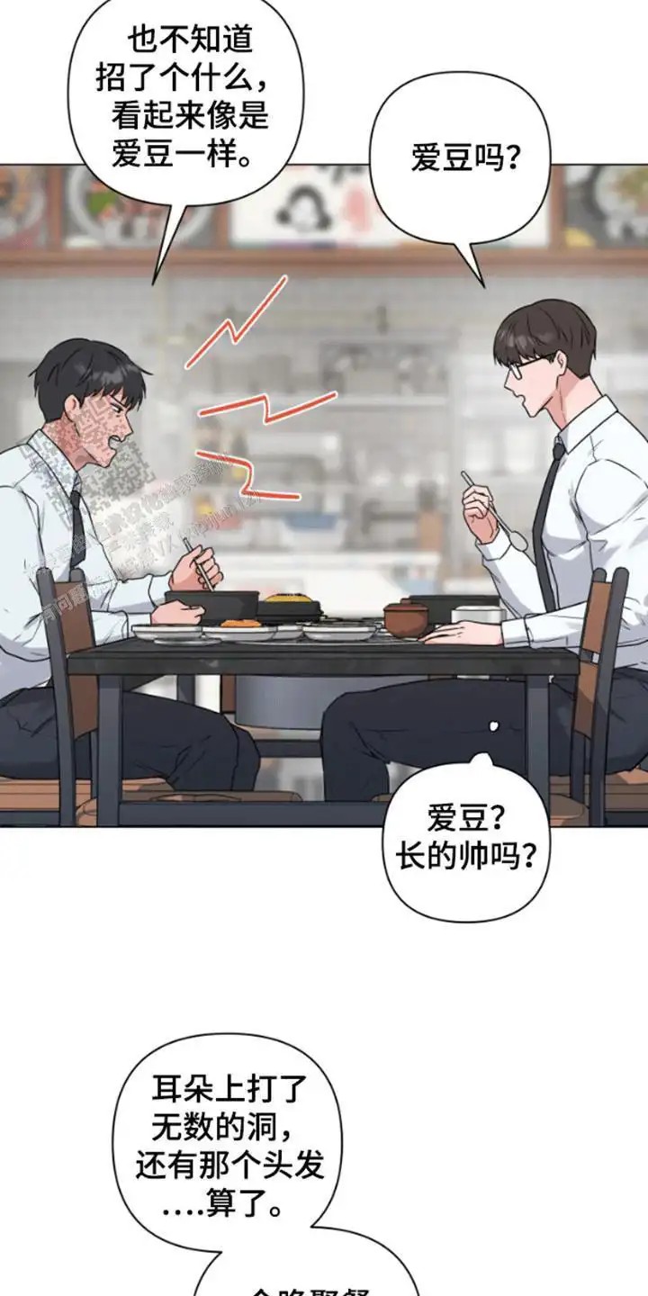 三重恋爱 - 实习生 - 第14页