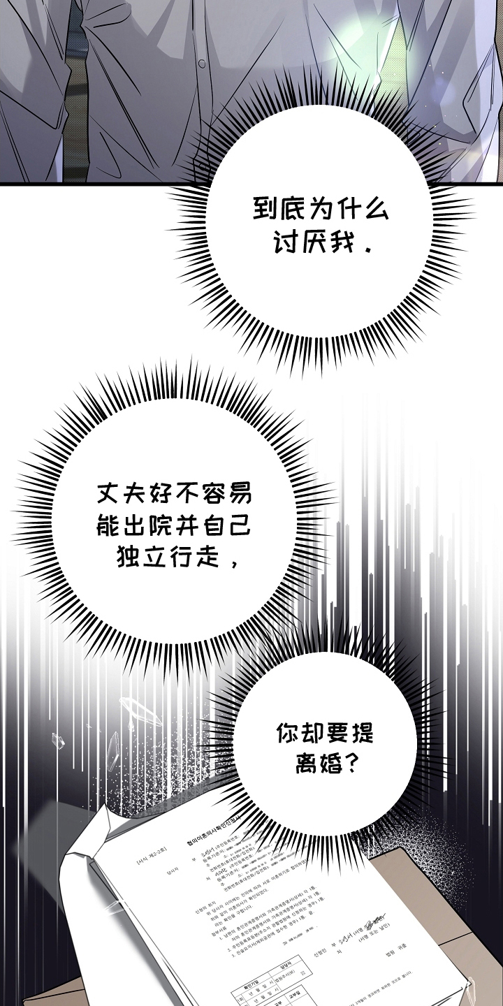 攻略枕边人 - 离婚 - 第6页