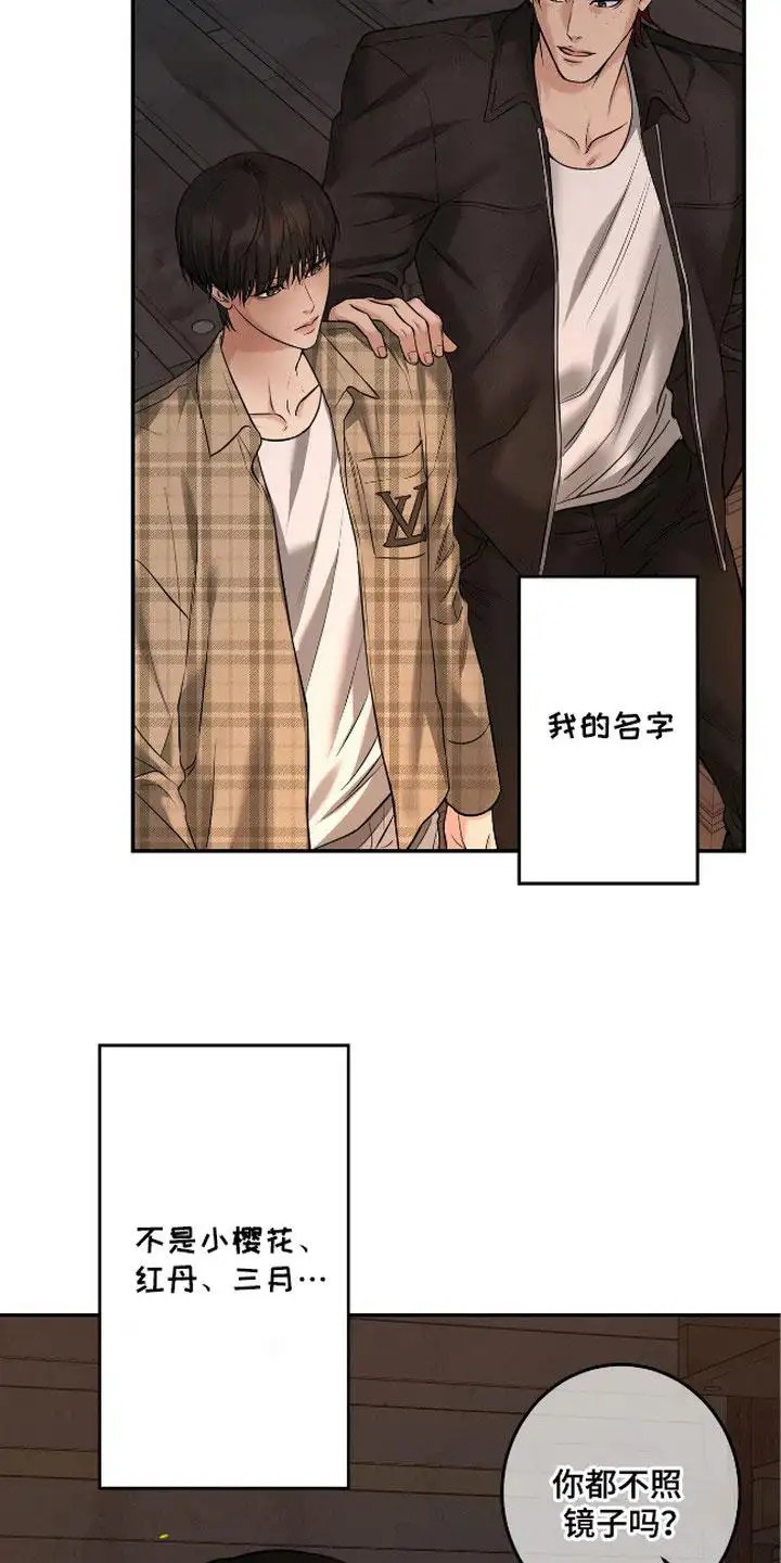 三月的樱花 - 称呼 - 第13页