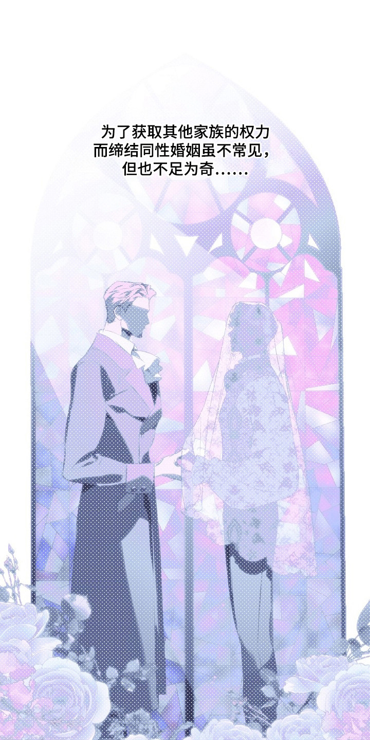 纯白献身 - 婚约 - 第17页