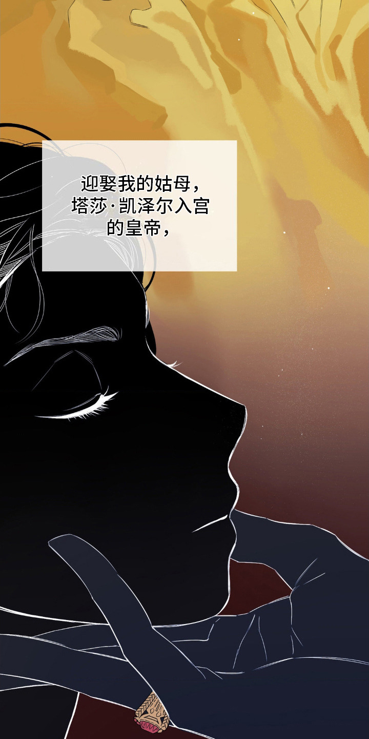 月光骑士 - 政敌 - 第22页