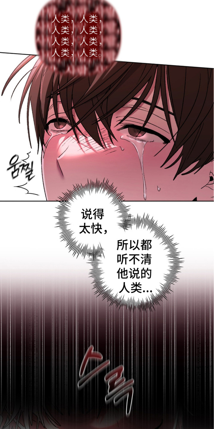 深渊牧羊人 - 怪人 - 第22页