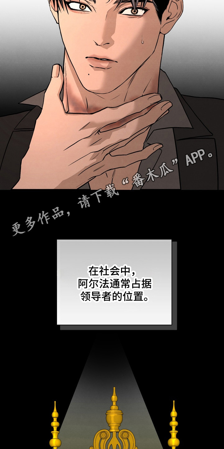 开发训狗 - 规则 - 第6页