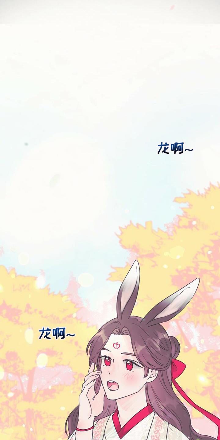 兔兔的小龙宝 - 取名 - 第10页