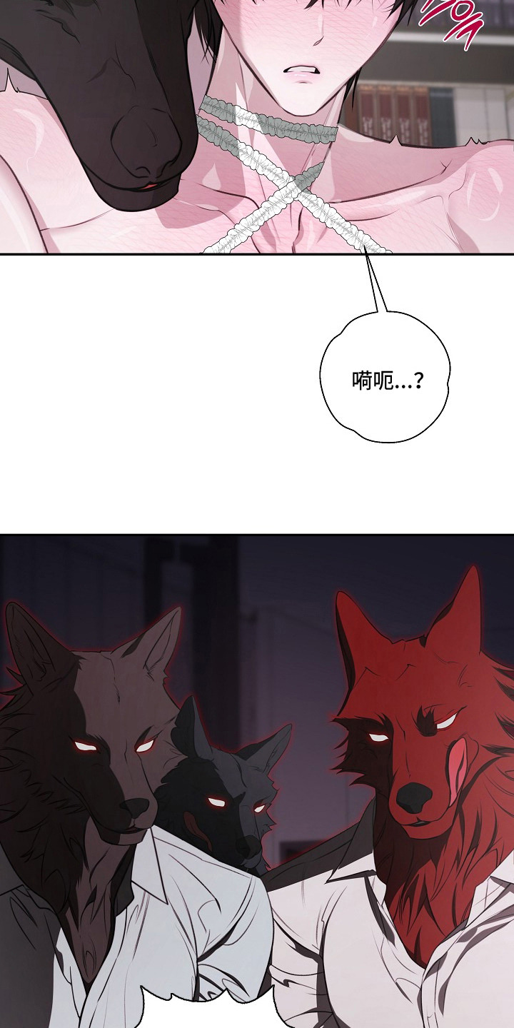 塔中猎物 - 狼人 - 第21页