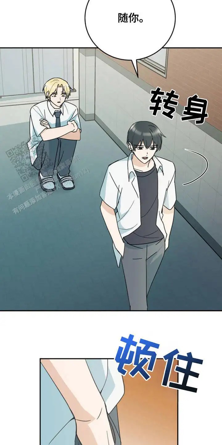 互补人生 - 打洞 - 第20页