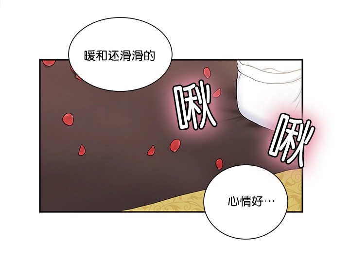 我的X报告 - 亲自测试 - 第10页