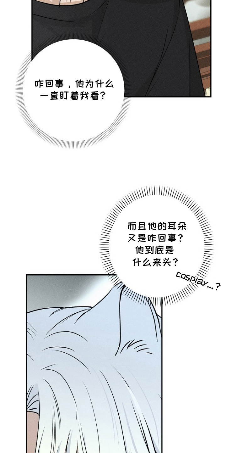 坠落婚途 - 愿望 - 第11页
