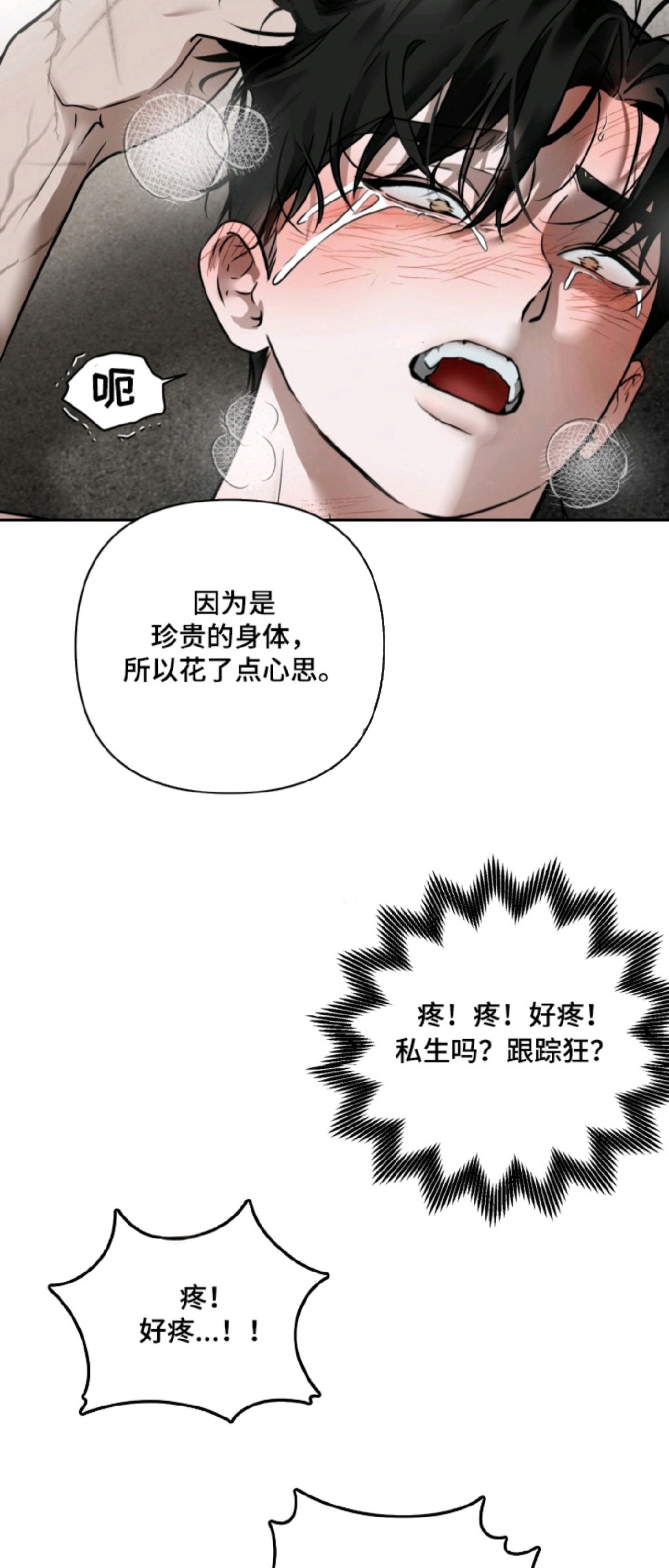 特殊开发驯服偶像 - 低语 - 第8页