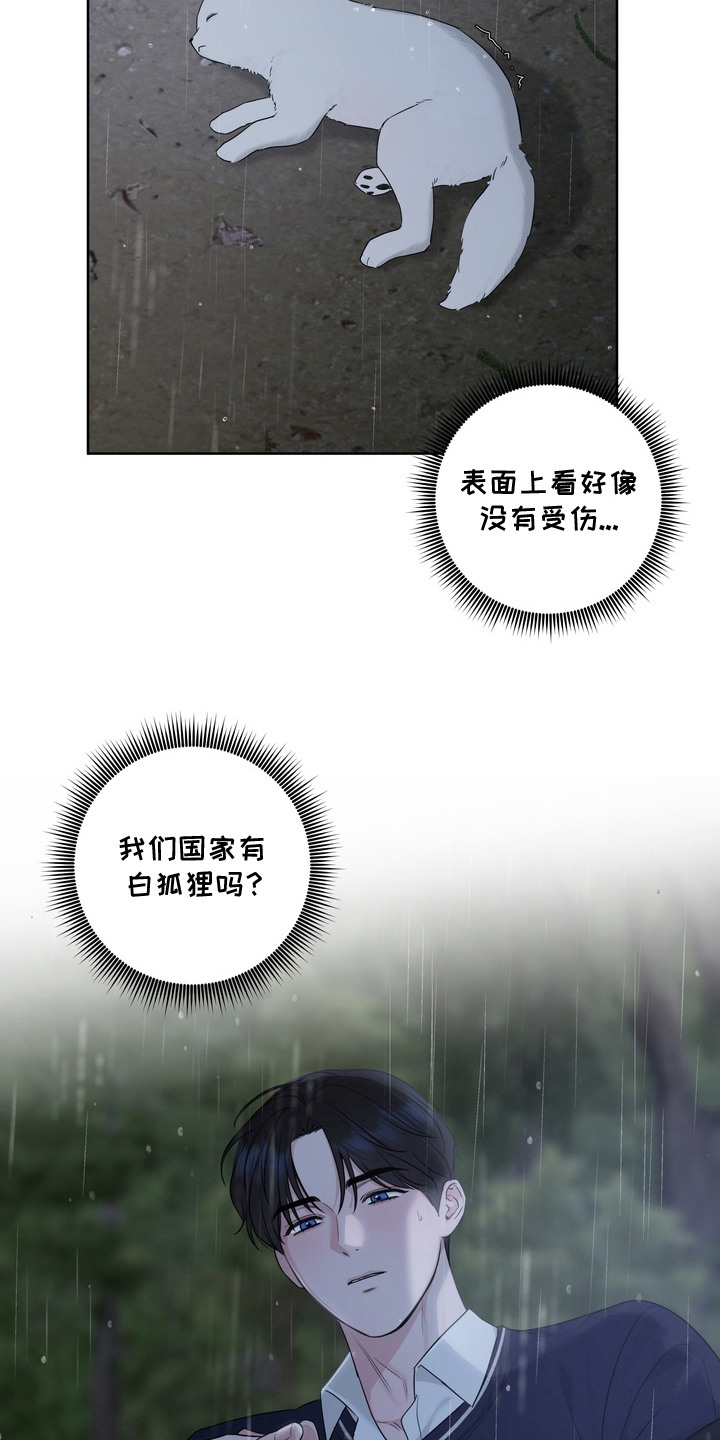 白狐日记 - 白狐 - 第23页