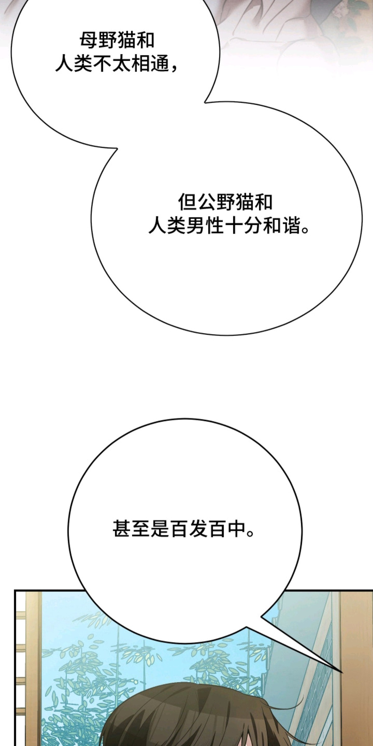 野猫的命定人类 - 秘密任务 - 第20页