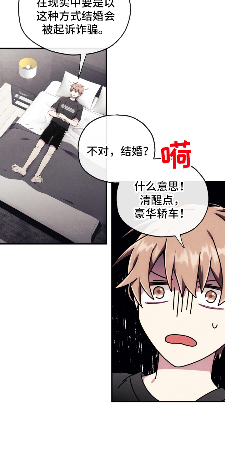 虚拟婚姻 - 引人注目 - 第20页