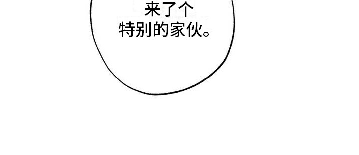 幸运管家 - 幸运！管家-见钱眼开 - 第24页