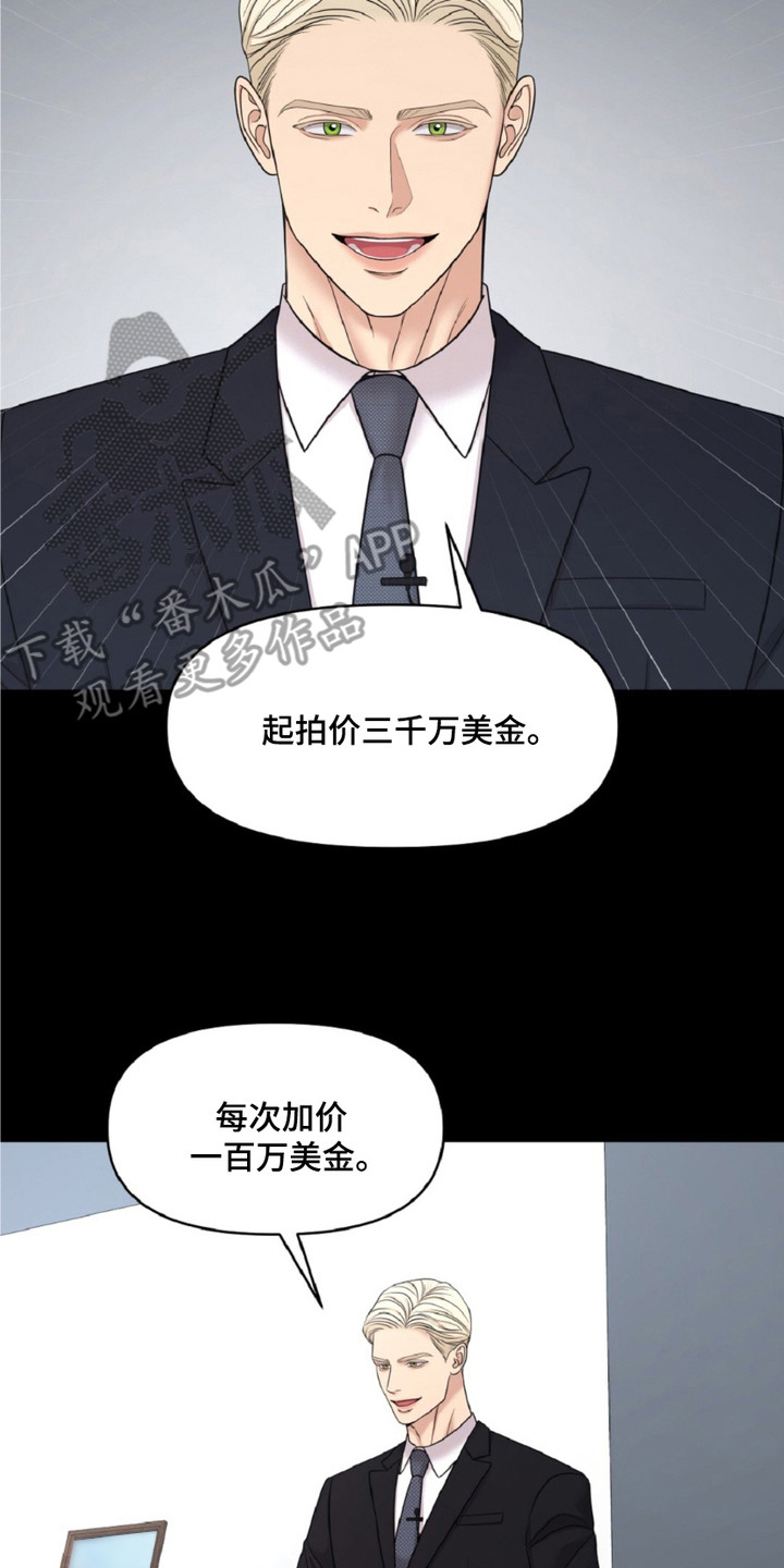 画布上的油画 - 拍卖师 - 第15页