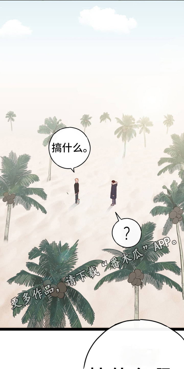 虚假阿尔法 - 选择 - 第12页