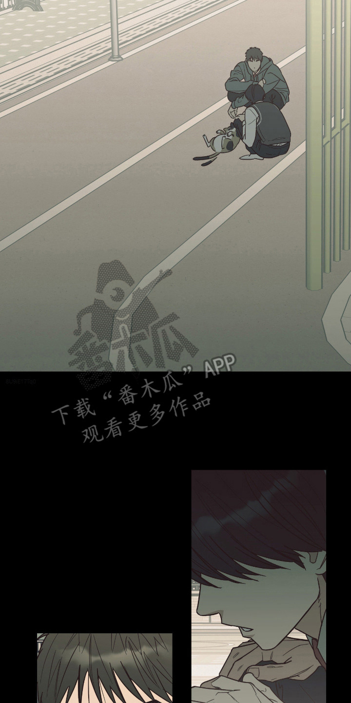 猫大爷和我 - 不太了解 - 第18页