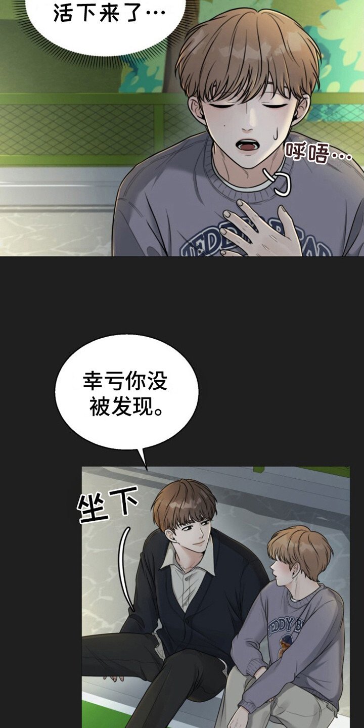 特殊伴侣 - 打掩护 - 第14页