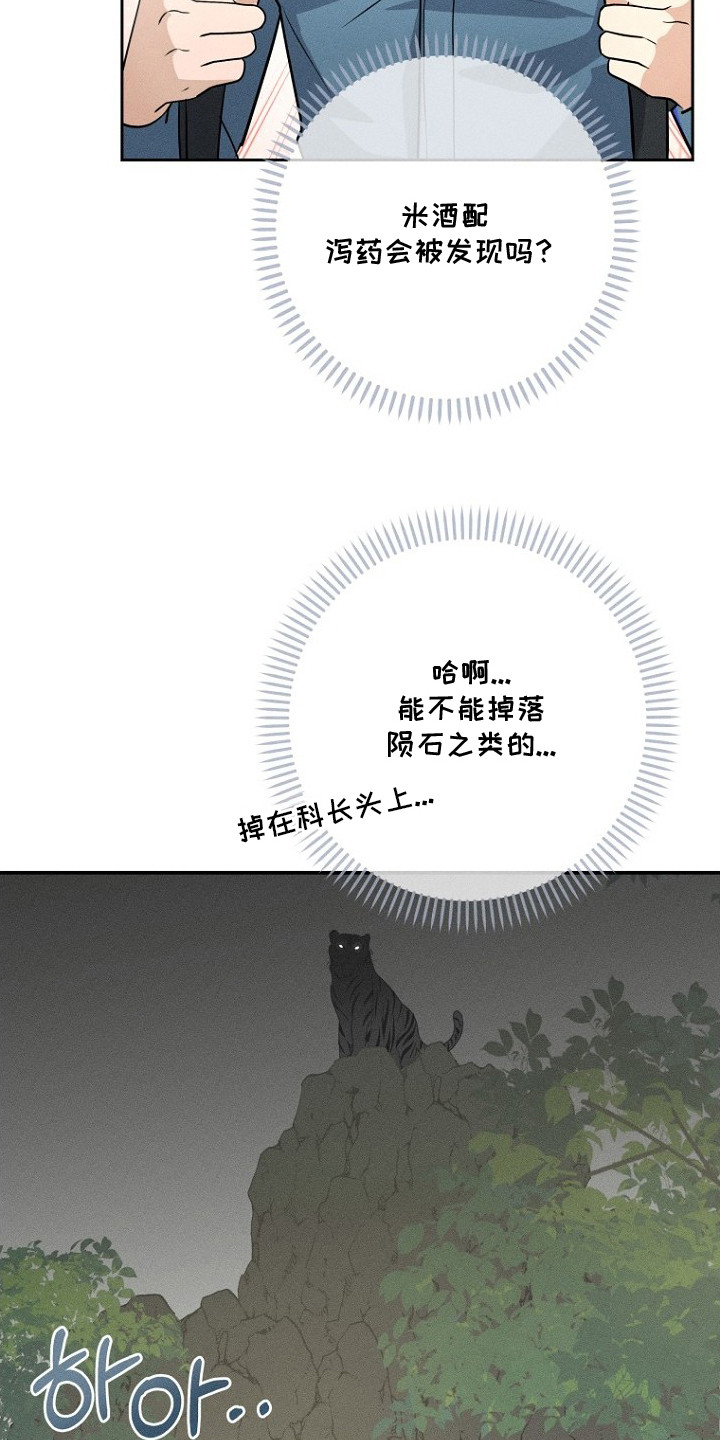 坠落婚途 - 爬山 - 第13页