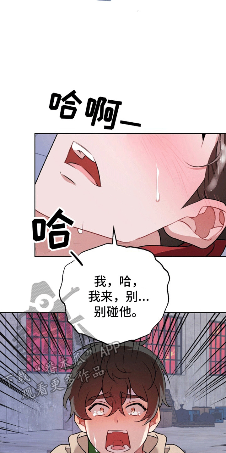 群狼环伺 - 终于见到你了 - 第11页