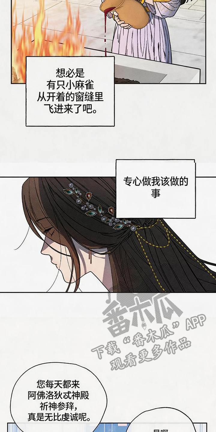 倾城伪妆 - 唯一目标 - 第11页
