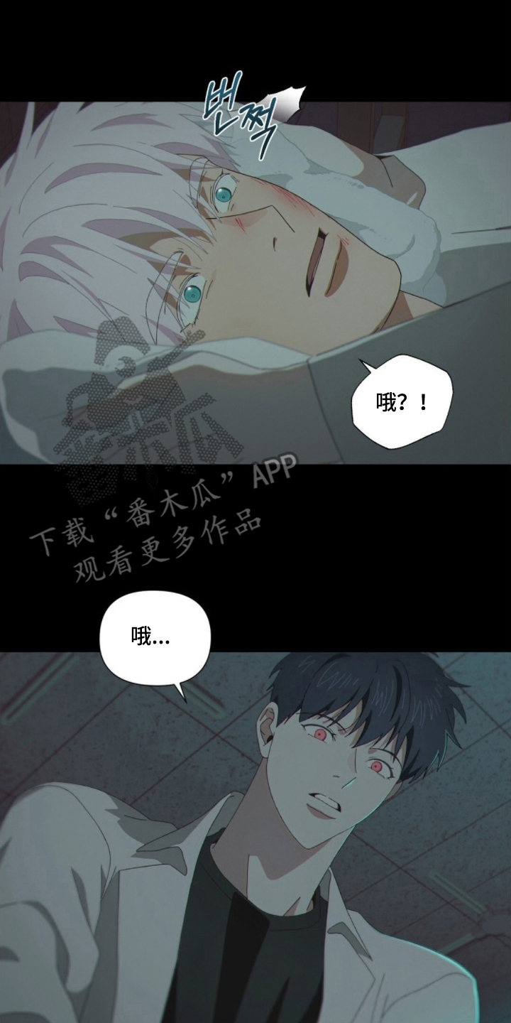 MIGNON - 见面 - 第19页