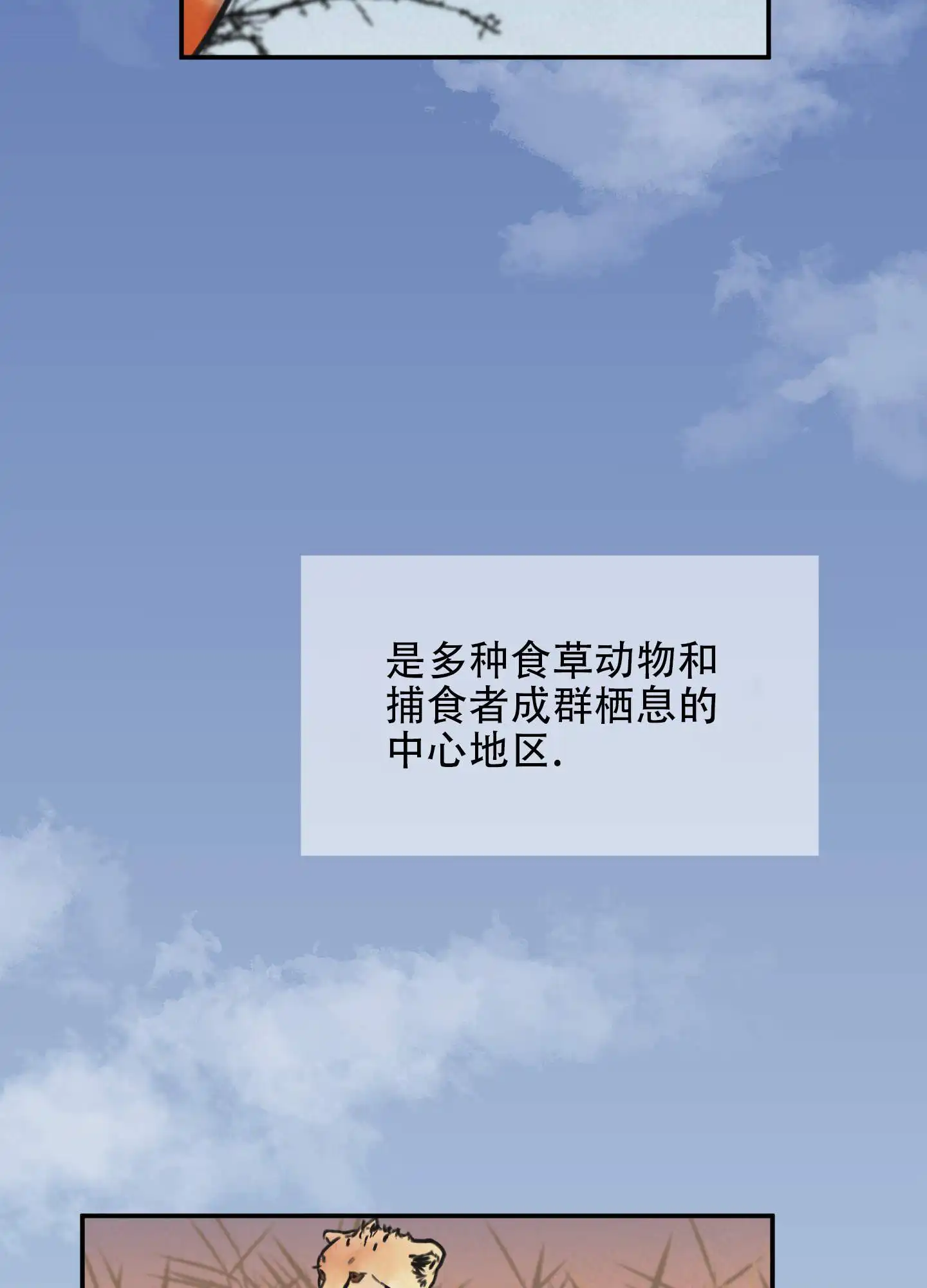 丛林游戏 - 野外拍摄 - 第19页