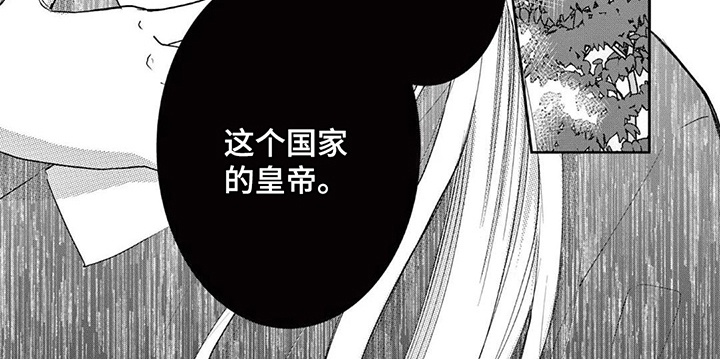 暴君与幸运女神 - 暗杀皇帝 - 第10页