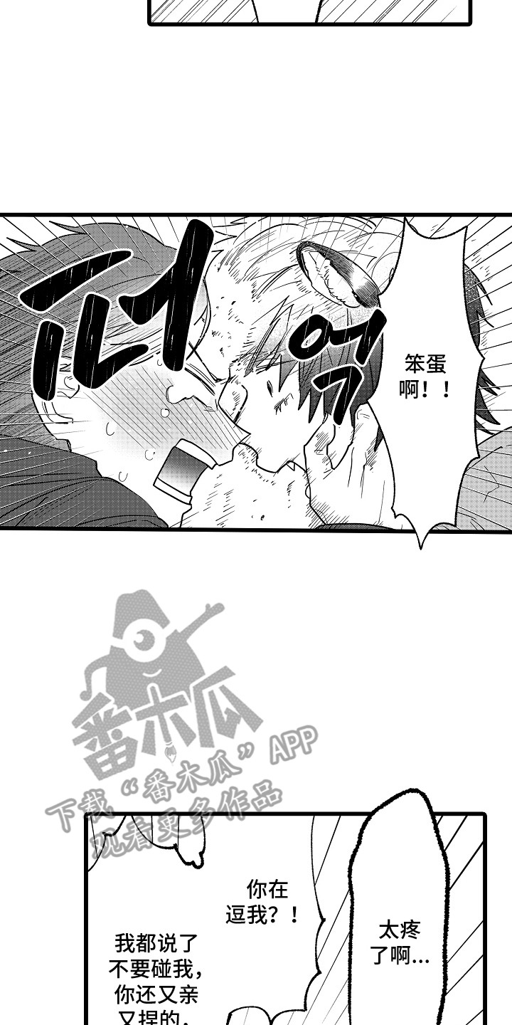 雪豹成长记 - 自作主张 - 第15页