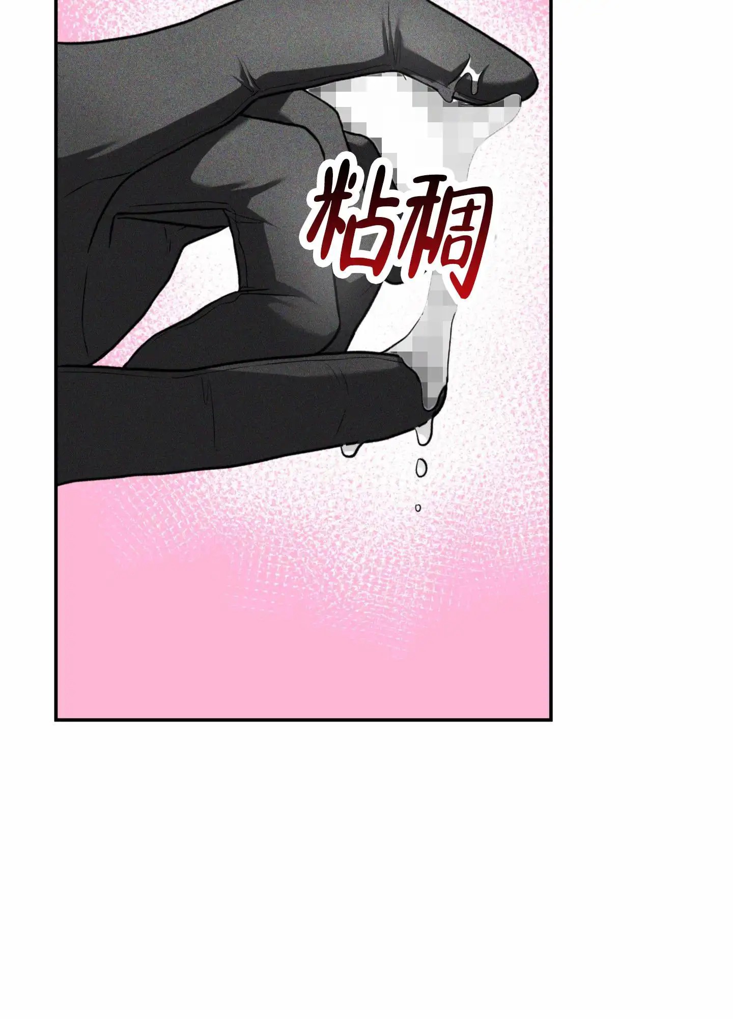 惊喜嘉宾 - 会长 - 第5页