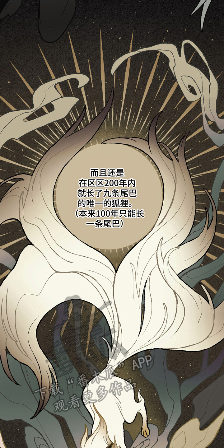 我的狐妖同事 - 九尾狐 - 第9页
