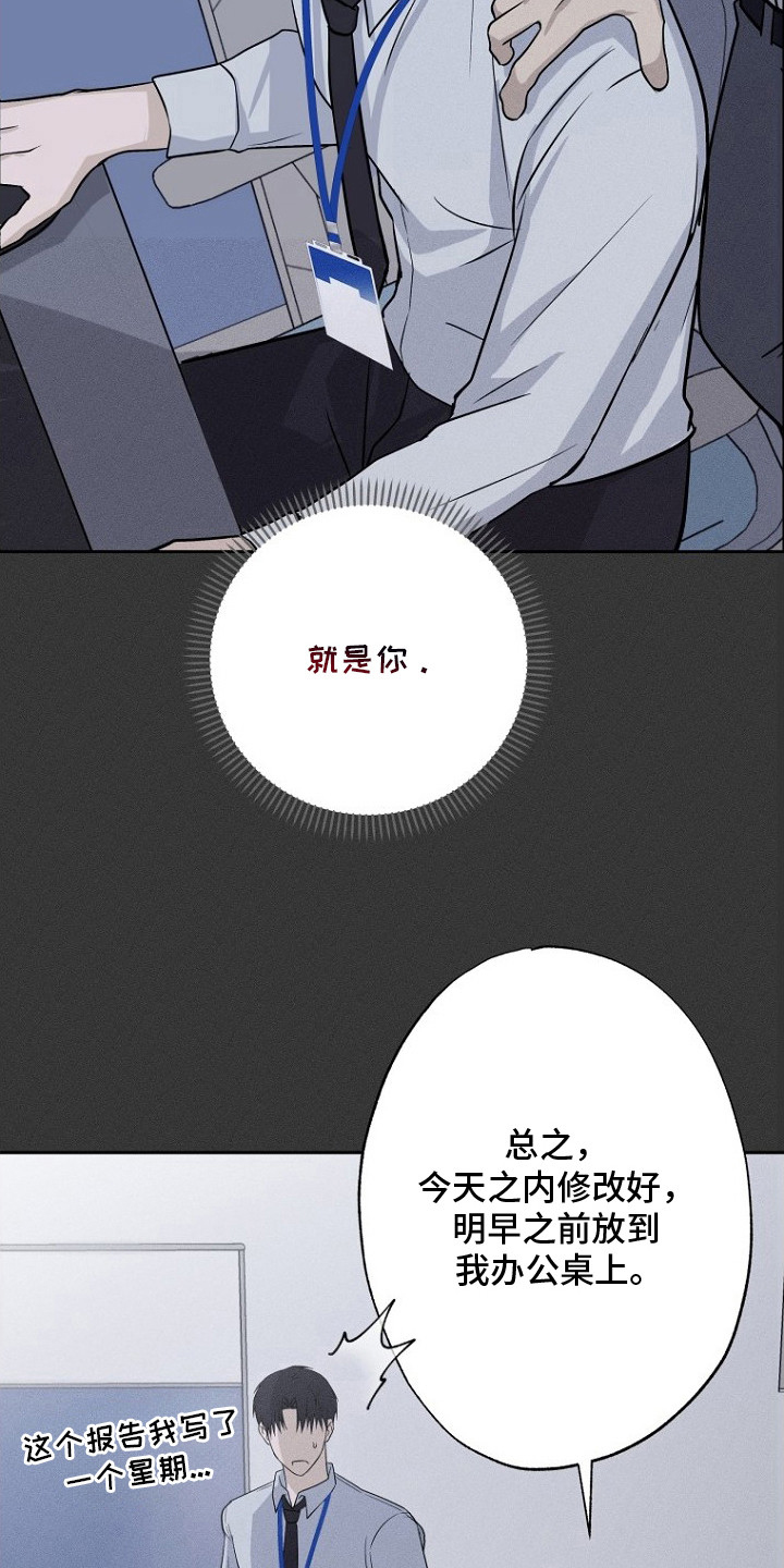 坠落婚途 - 社畜 - 第27页