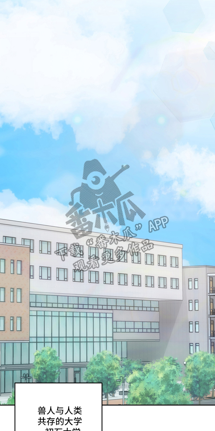 研究对象是哥哥 - 兽人 - 第17页