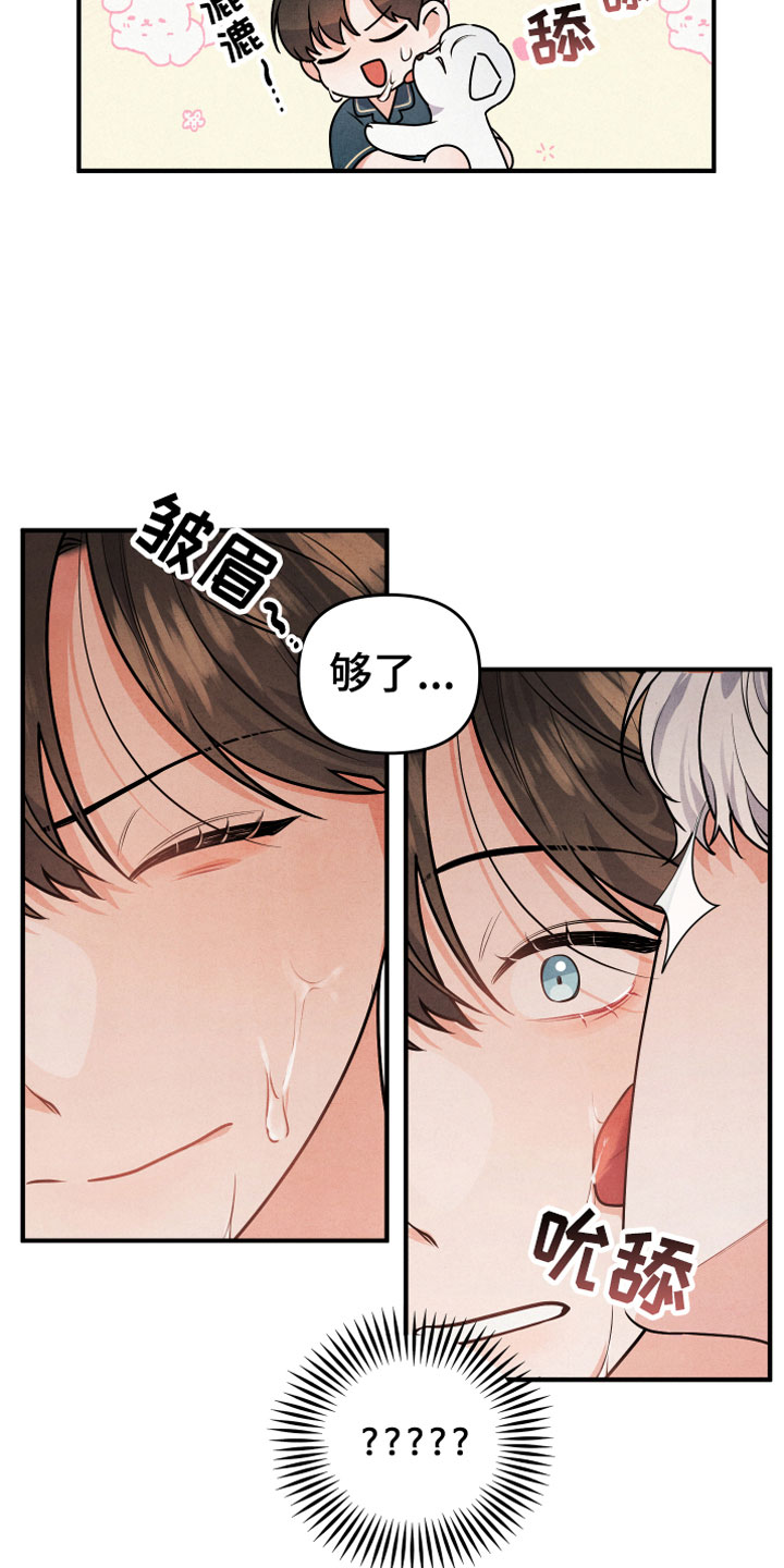 狗狗的恋爱 - 小型犬 - 第9页