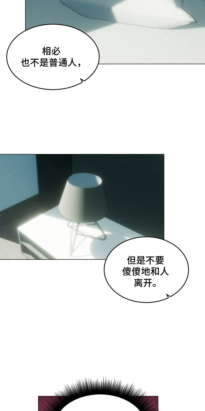 忠诚的背面 - 保密 - 第13页