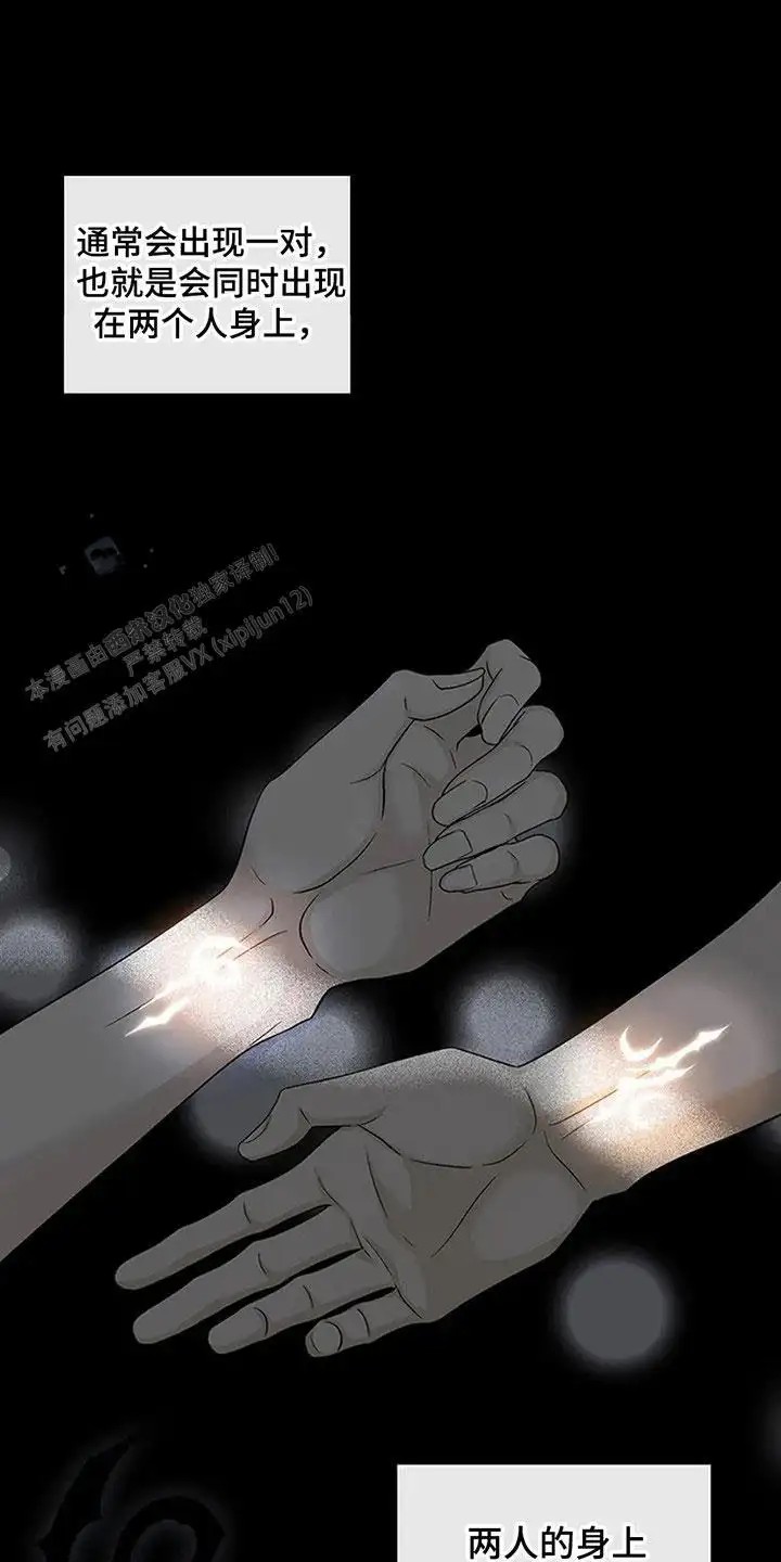剧毒纽带 - 信号病 - 第11页