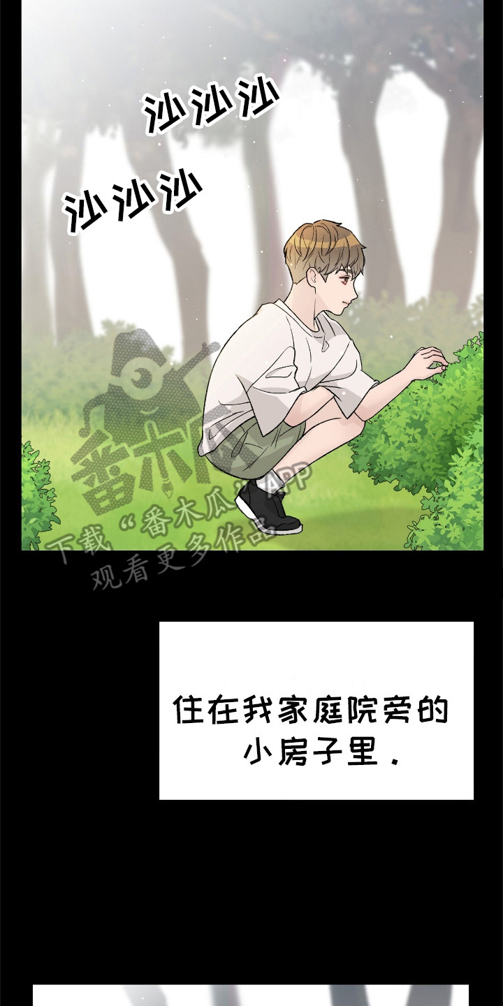 爱犬宝贝 - 摩卡 - 第18页
