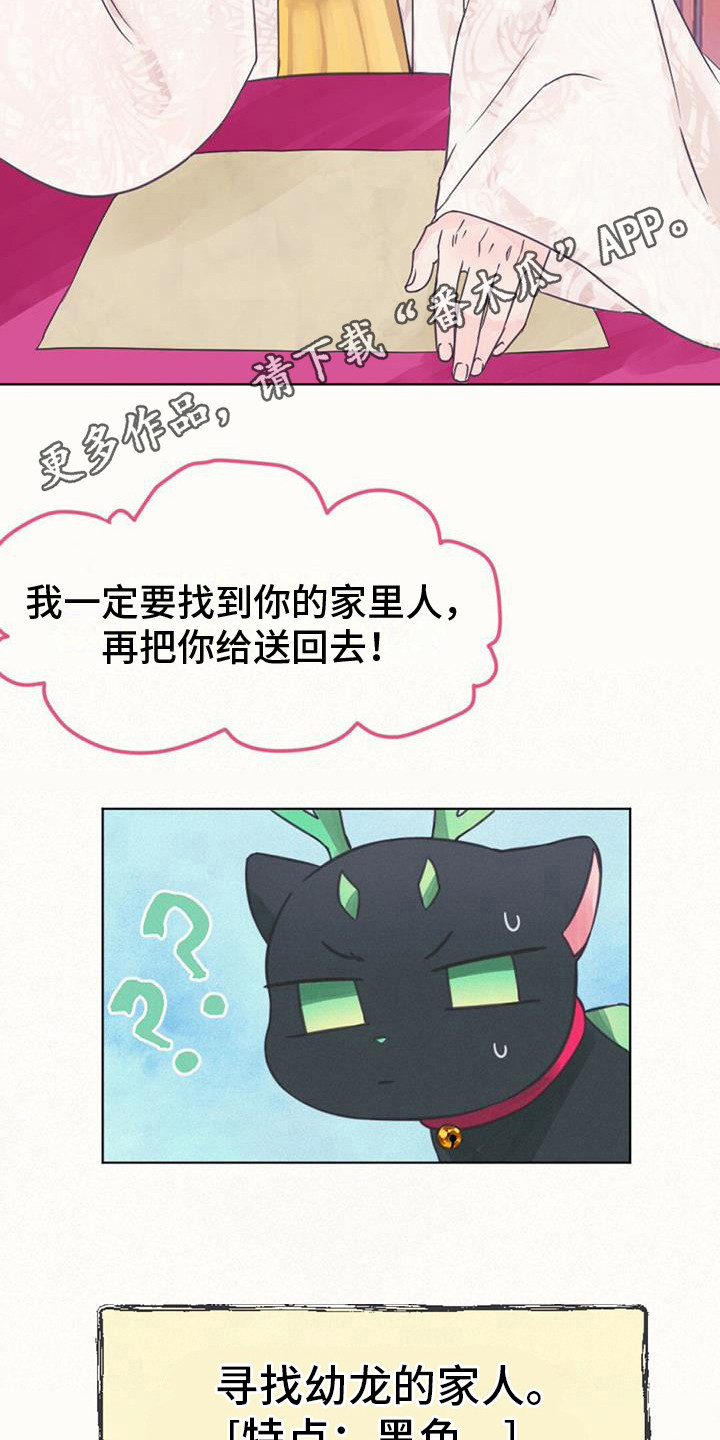 兔兔的小龙宝 - 长不大 - 第6页
