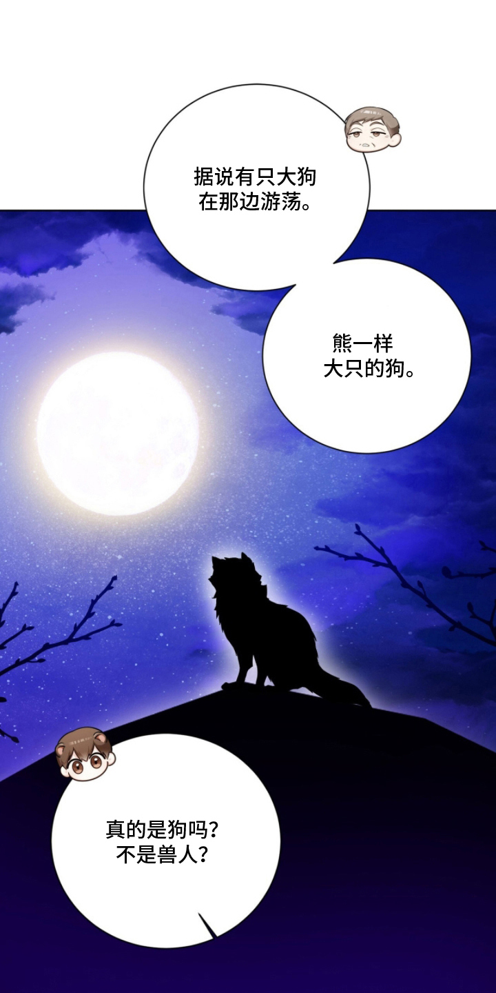 猛兽勿近 - 到家 - 第13页