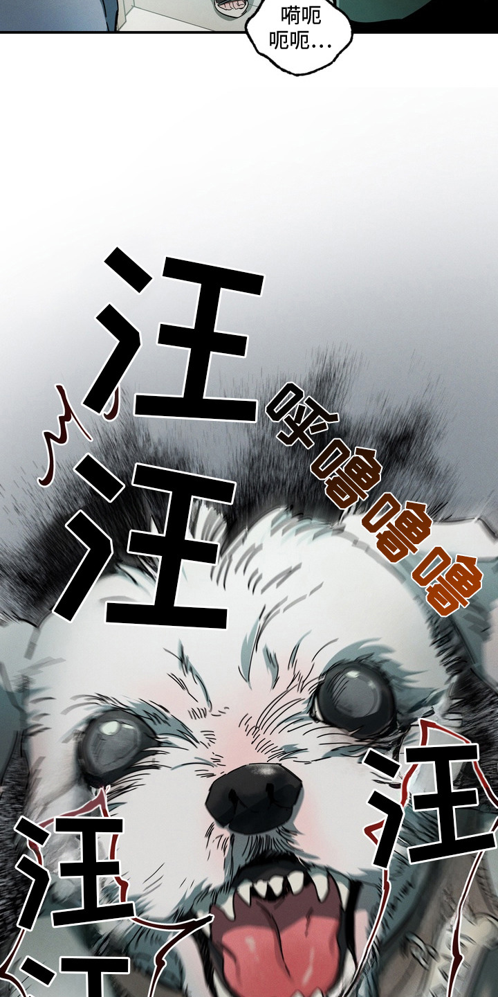伪人室友 - 喜欢的事 - 第10页