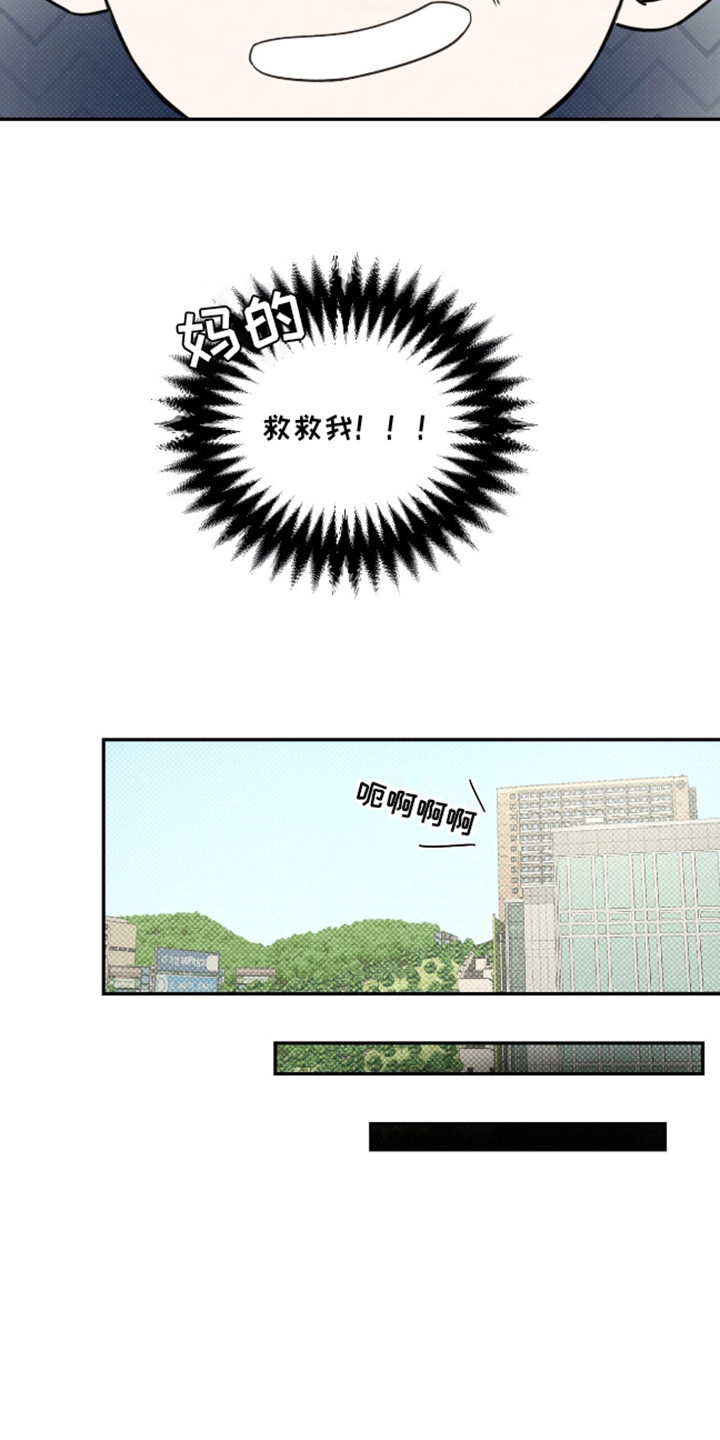 来者不拒 - 盯着看 - 第14页