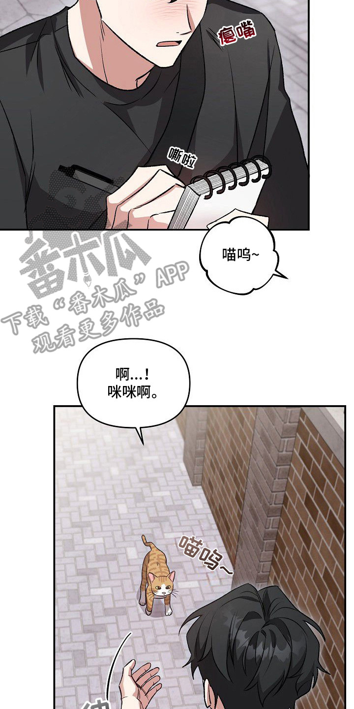 亲爱的杀手 - 告白计划 - 第18页