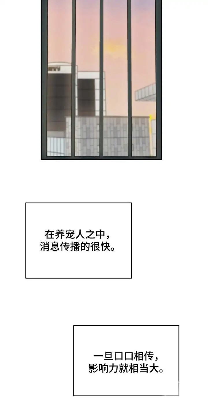 猛宠旧情 - 狼崽 - 第9页