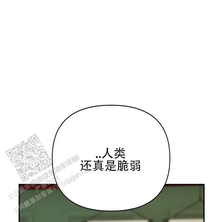 黎明之雨 - 传闻 - 第32页