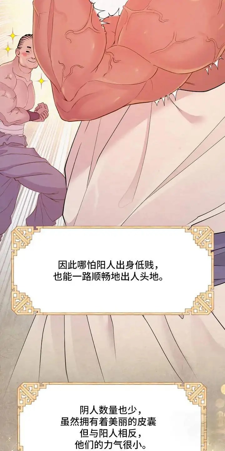 乱世之花 - 三六九等 - 第5页