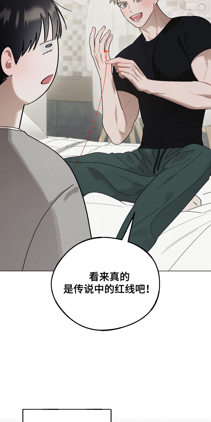 红线任务 - 红线任务 - 第17页