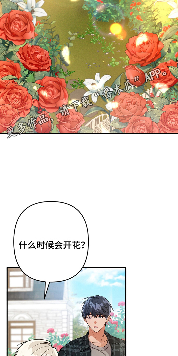 玫瑰庭院 - 真的吗 - 第5页