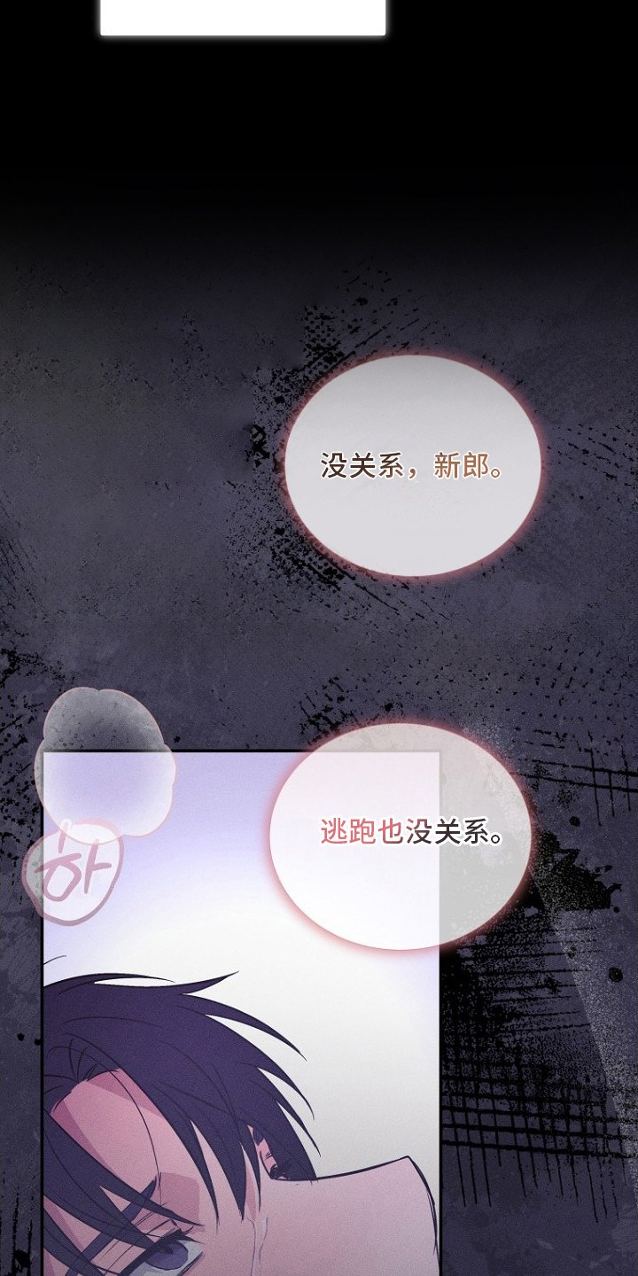 坠落婚途 - 社畜 - 第12页