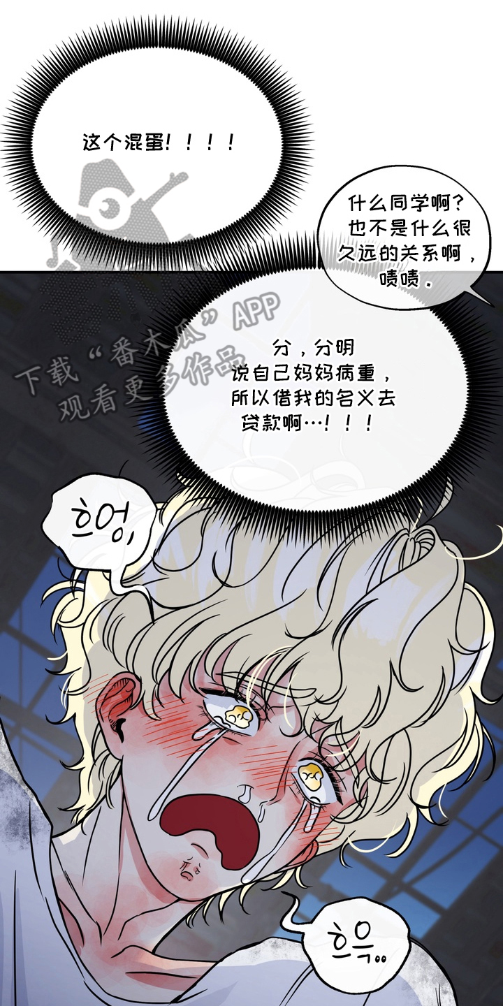 开发捕获 - 初恋 - 第13页